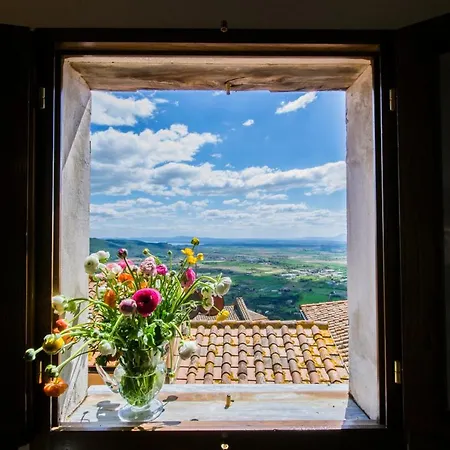 Apartment Nido D'amore - Together In Tuscany